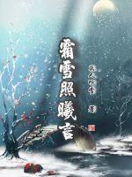 霜雪照曦言封面