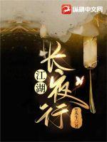 江湖长夜行封面