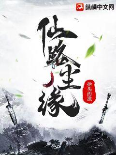 仙路尘缘封面