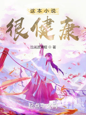 这本小说很健康封面